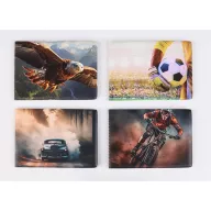   Diák- és igazolványtartó, fekvő, 6 betét lappal, mintás PVC, "Többlapos", fiú