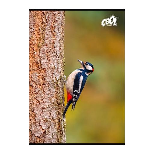 Füzet, tűzött, A4, vonalas, 80 lap, COOL BY VICTORIA "Birds"