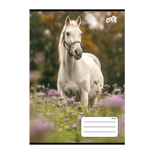 Füzet, tűzött, A5, vonalas, 32 lap, 1. osztály, COOL BY VICTORIA "Free Spirit", "14-32"