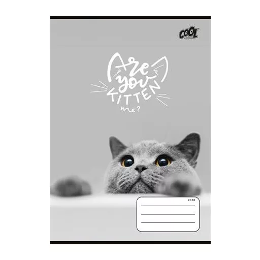 Füzet, tűzött, A5, vonalas, 32 lap, 4-8. osztály, COOL BY VICTORIA "Cats Forever", "21-32"