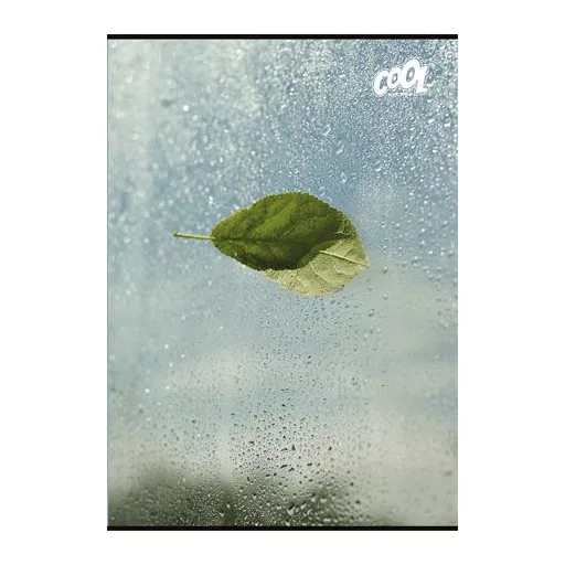 Füzet, tűzött, A4, sima, 80 lap, COOL BY VICTORIA "Green Calm"