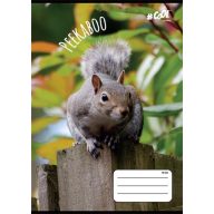   Füzet, tűzött, A5, vonalas, 32 lap, 2. osztály, COOL BY VICTORIA, "Peekaboo", "16-32"