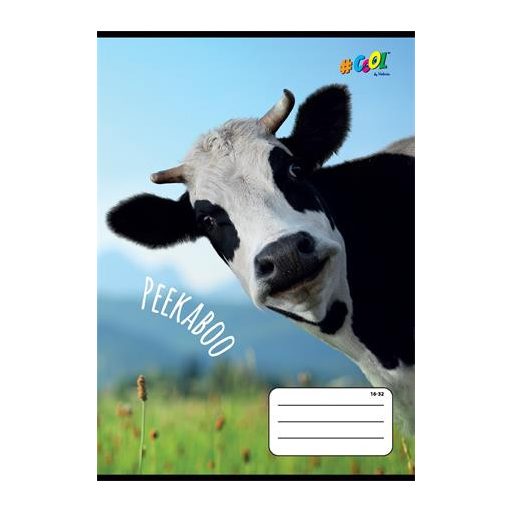 Füzet, tűzött, A5, vonalas, 32 lap, 2. osztály, COOL BY VICTORIA, "Peekaboo", "16-32"