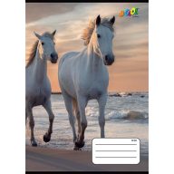   Füzet, tűzött, A5, vonalas, 32 lap, 3. osztály, COOL BY VICTORIA, "Horses", "12-32"