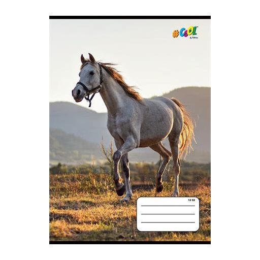 Füzet, tűzött, A5, vonalas, 32 lap, 3. osztály, COOL BY VICTORIA, "Horses", "12-32"