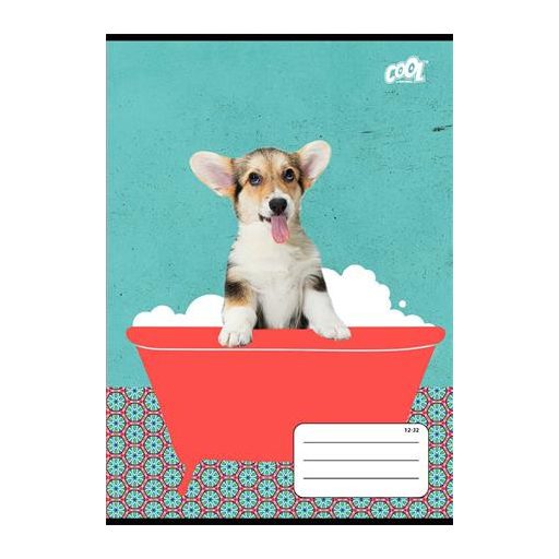 Füzet, tűzött, A5, vonalas, 32 lap, 2. osztály, COOL BY VICTORIA "Bath", "16-32"