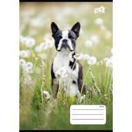   Füzet, tűzött, A5, kockás, 32 lap, COOL BY VICTORIA "B&W dogs", "27-32"