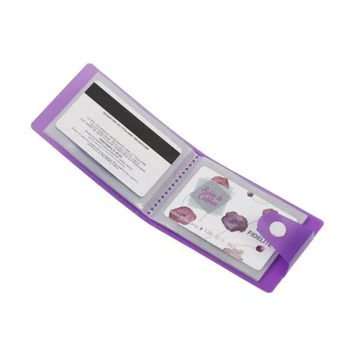 Bankkártya-és igazolványtartó, 20 betétlappal, VIQUEL, "Propyglass",vegyes színek