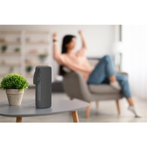 Hangszóró, hordozható, 24W, Bluetooth 5.0, KODAK PWS-2246