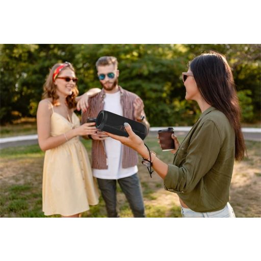 Hangszóró, hordozható, 16W, Bluetooth 5.0, KODAK PWS-2252