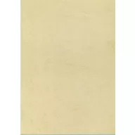 Előnyomott papír, A4, 200 g, APLI, havanna