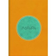   Naptár, tervező, A5, napi, DAYLINER "Central", sárga-türkiz