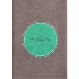   Naptár, tervező, A5, napi, DAYLINER "Central", szürke-türkiz