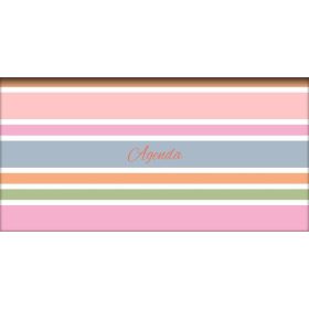   Zsebnaptár, fekvő elrendezésű, DAYLINER, "Colors Stripes"