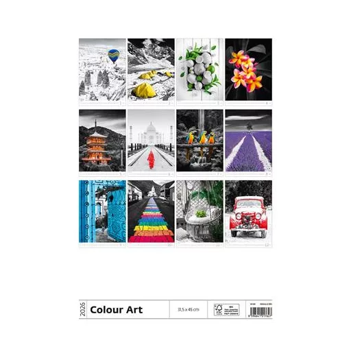 Naptár, fali, DAYLINER "Colour Art"