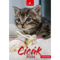 Naptár, fali, DAYLINER, "Cicák"