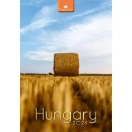 Naptár, fali, DAYLINER, "Hungary"