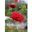 Naptár, fali, DAYLINER, "Kertészmester"