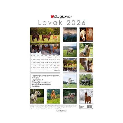 Naptár, fali, DAYLINER, "Lovak"