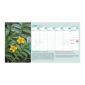   Naptár, asztali, álló, TOPTIMER, "Gyógyító természet"