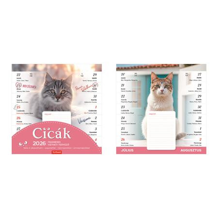 Naptár, fali, mágneses, kétheti, TOPTIMER, cicák