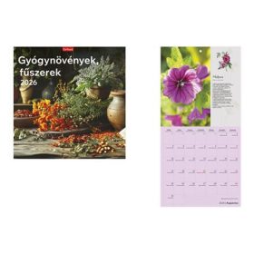   Naptár, fali, TOPTIMER, "Gyógynövények, fűszerek"