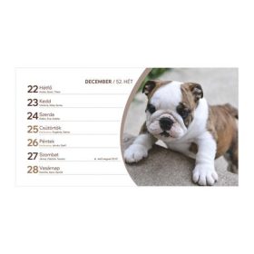 Naptár, asztali, álló, TOPTIMER, "Kutyák"