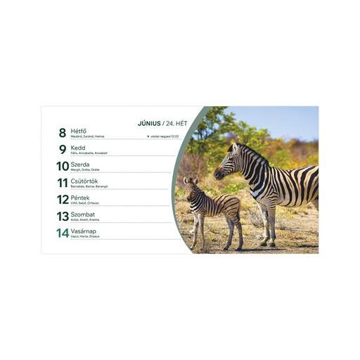 Naptár, asztali, álló, TOPTIMER, "Állatvilág"