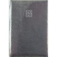   Naptár, tervező, B6, heti, DAYLINER, "Mirror", ezüst