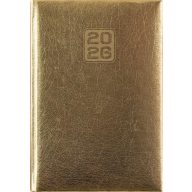  Naptár, tervező, A5, napi, DAYLINER, "Mirror", arany