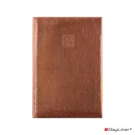   Naptár, tervező, A5, napi, DAYLINER, "Mirror", bronz