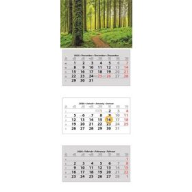   Naptár, speditőr, három hónapos, három tömbös, DAYLINER