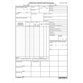   Nyomtatvány, nemzetközi tehergépjármű menetlevél, A3, VICTORIA PAPER "B.7300-237"