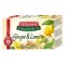 Gyümölcstea TEEKANNE World of Fruits gyömbér-citrom 20*2,5g /12/