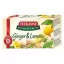 Gyümölcstea TEEKANNE World of Fruits gyömbér-citrom 20*2,5g /12/