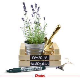   Krétamarker, 2-4 mm, megfordítható hegy, PENTEL "SMW26", fehér