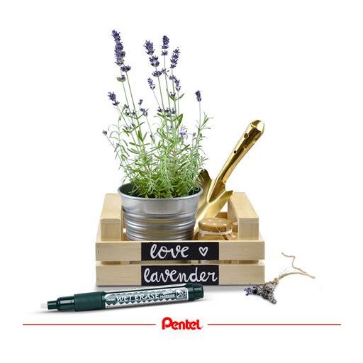 Krétamarker, 2-4 mm, megfordítható hegy, PENTEL "SMW26", fehér