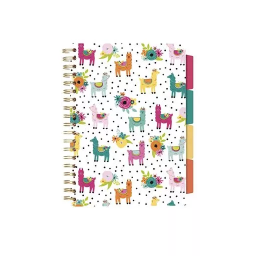 Spirálfüzet, B5, vonalas, 100 lap, PUKKA PAD "Colour Wash Project Book", vegyes minta