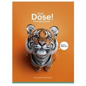   Füzet, tűzött, A5, kockás, 48 lap, SHKOLYARYK "Nice to meet you", vegyes