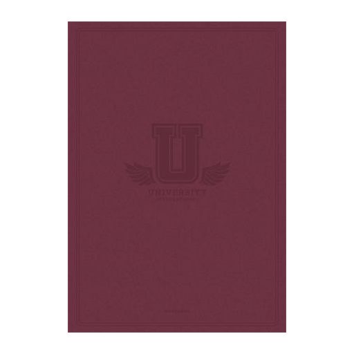 Füzet, tűzött, A4, kockás, 60 lap, SHKOLYARYK "University International", vegyes