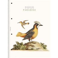   Spirálfüzet, A4, vonalas, 80 lap, SHOLYARYK "College Block Wonders", vegyes