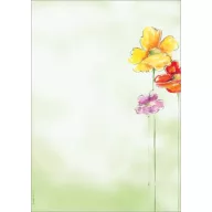   Előnyomott papír, A4, 90g, SIGEL "Spring Flowers"
