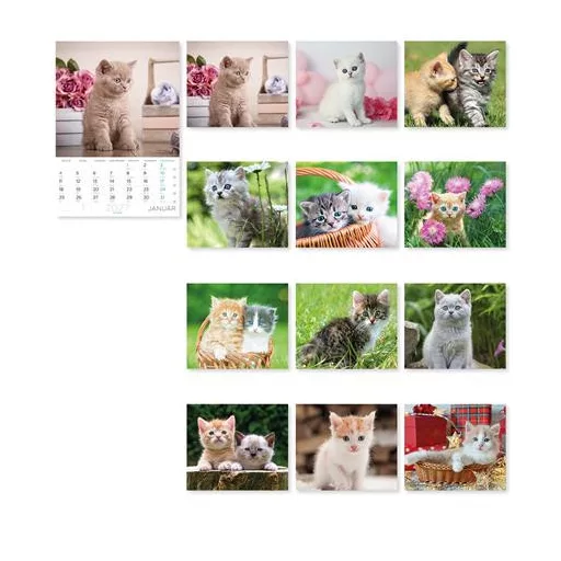 Falinaptár, A4, LIZZYCALENDAR "Cicák"