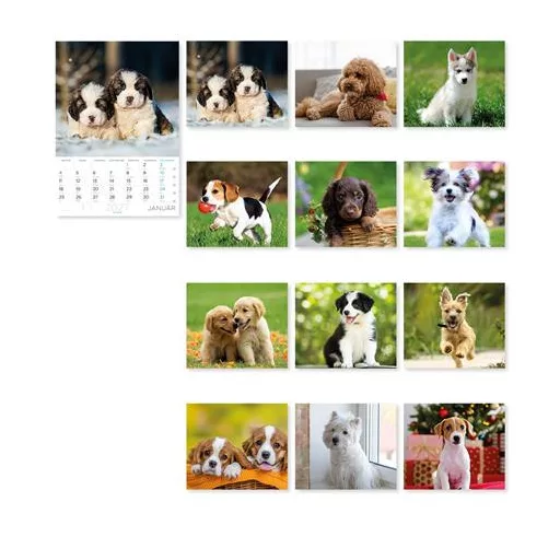 Falinaptár, A4, LIZZYCALENDAR "Kutyák"