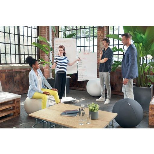 Flipchart papír, kétoldalas, sima/kockás, 580X810mm, 50 lap, NOBO